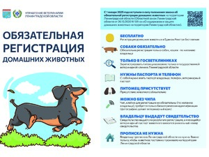 Регистрация Сторона 2.jpg